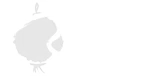 台灣燈會